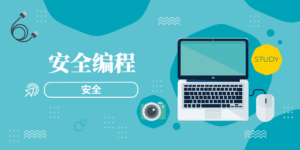安全编程
